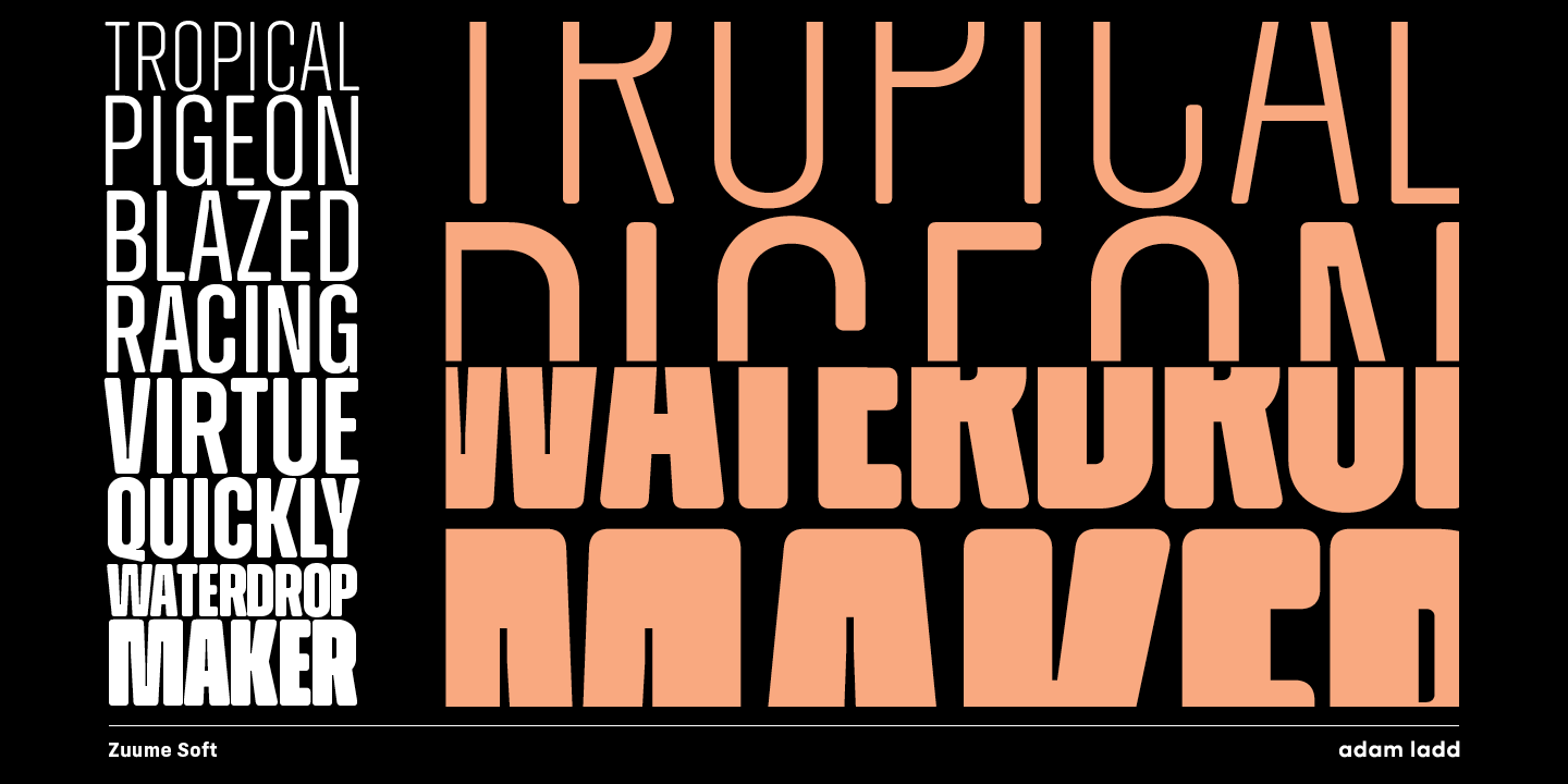 Ejemplo de fuente Zuume Soft Italic